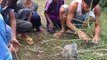 Traditional LIZARDS Trapping in Cambodia - LIZARDS Trap Caught Wild hen - LIZARDS Trap Homemade