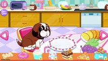 Little Pet Hospital of Animals | Doctor Care of Pets by Libii - Cartoons Melly,Cara Dog