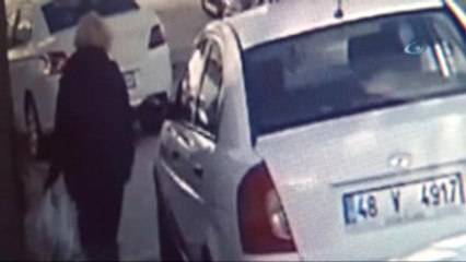 Göz Göre Göre Köpekleri Zehirledi Ama Güvenlik Kamerasına Yakalandı