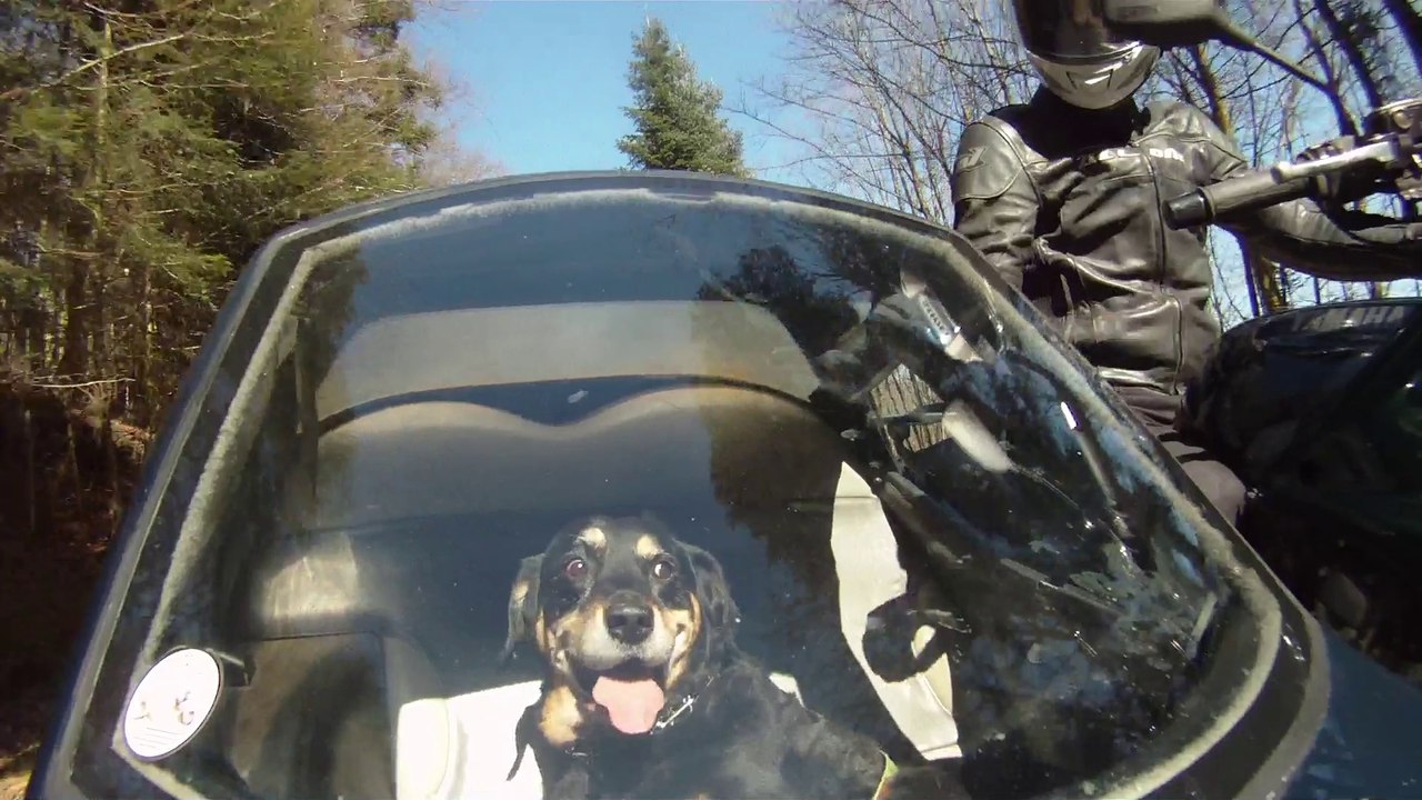 Lulu en side-car