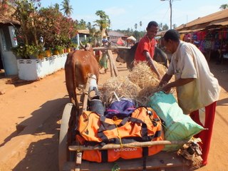 Mahajanga - Morondava par la côte...