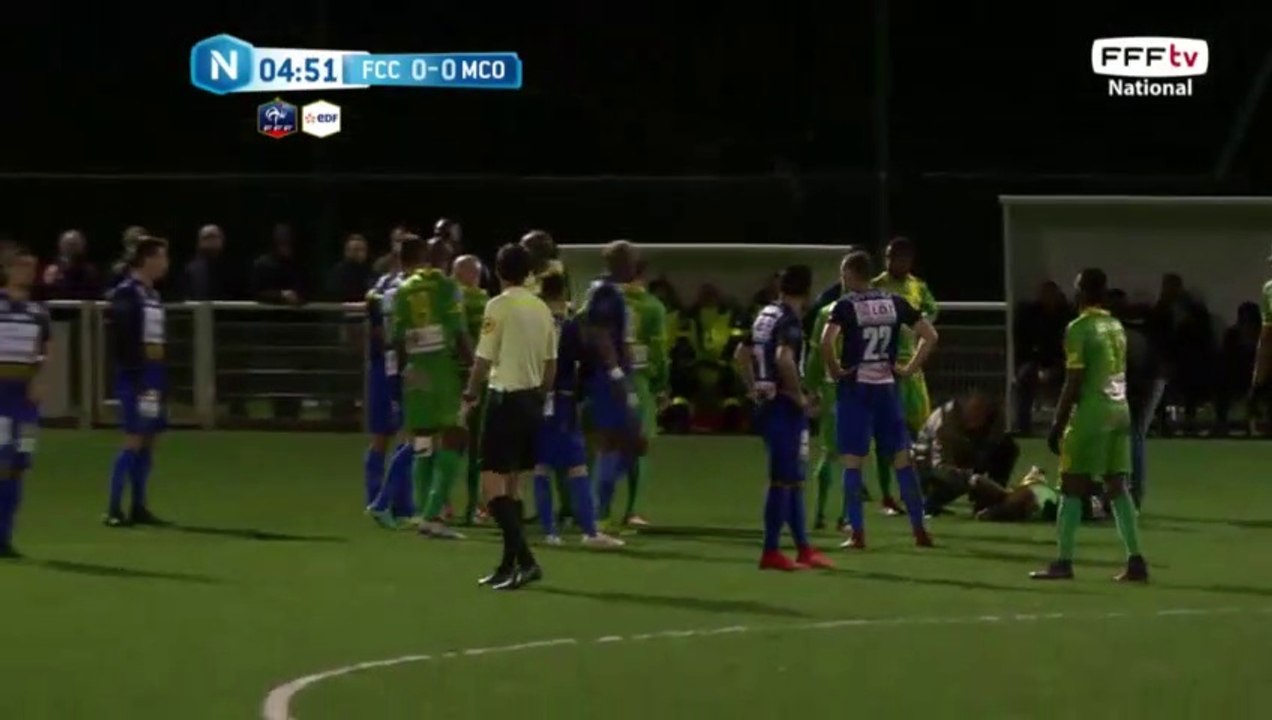 Bozok reste au sol et boite