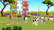 Dog Cartoons Singing Finger Family Children Nursery Rhymes | Dog Finger Family Rhymes