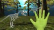 Цвета супергерои Скелет палец Семья анимация человек-паук динозавры палец Семья