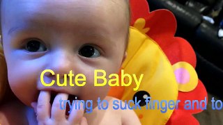 Cute Babies Laughing at Dogs Com 4tg43q