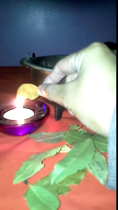 ZAPALITE LOVOROV LIST U KUCI