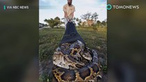 Florida contrata indianos para capturar pythons birmanêsas.