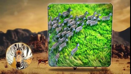 Развивающий мультфильм про жирафа