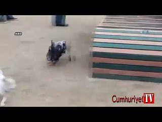 Felçli köpeğe tekerlekli sandalye yaptılar