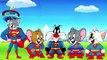 #Tom and Jerry #Superman #Finger Family #Songs #Nursery #Rhymes #Lyrics #For #Kids