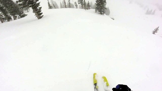 Ce skieur saute d'une falaise et s'éclate sur un arbre