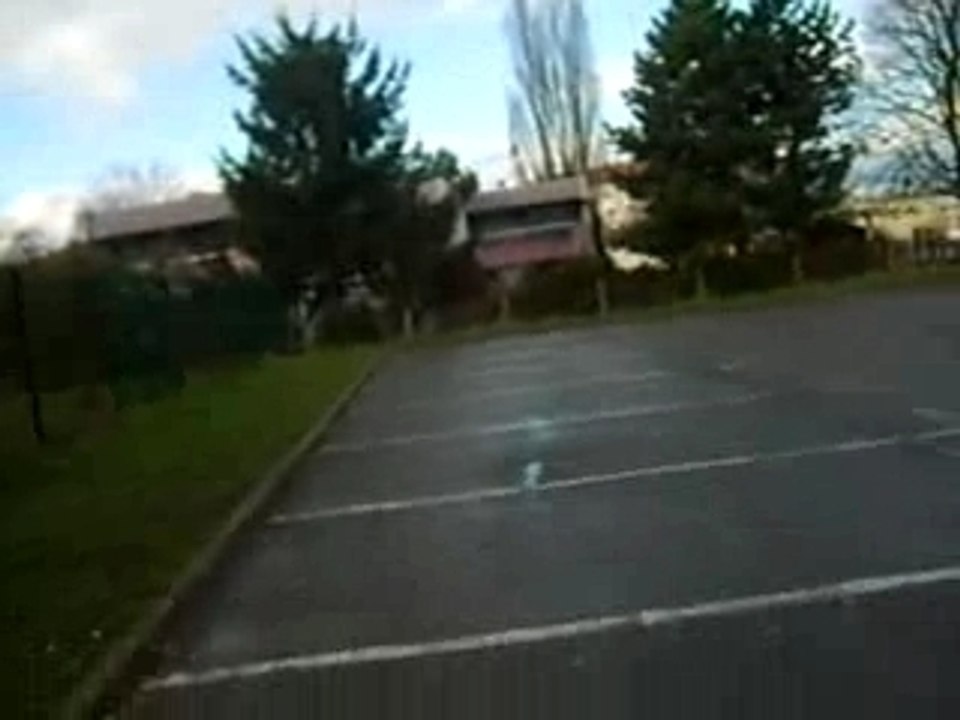 Les pigeons partie 1