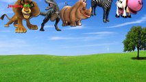 Animals Finger Family | Nursery Rhymes Song For Babies | 3D Rhyme Childrens Video