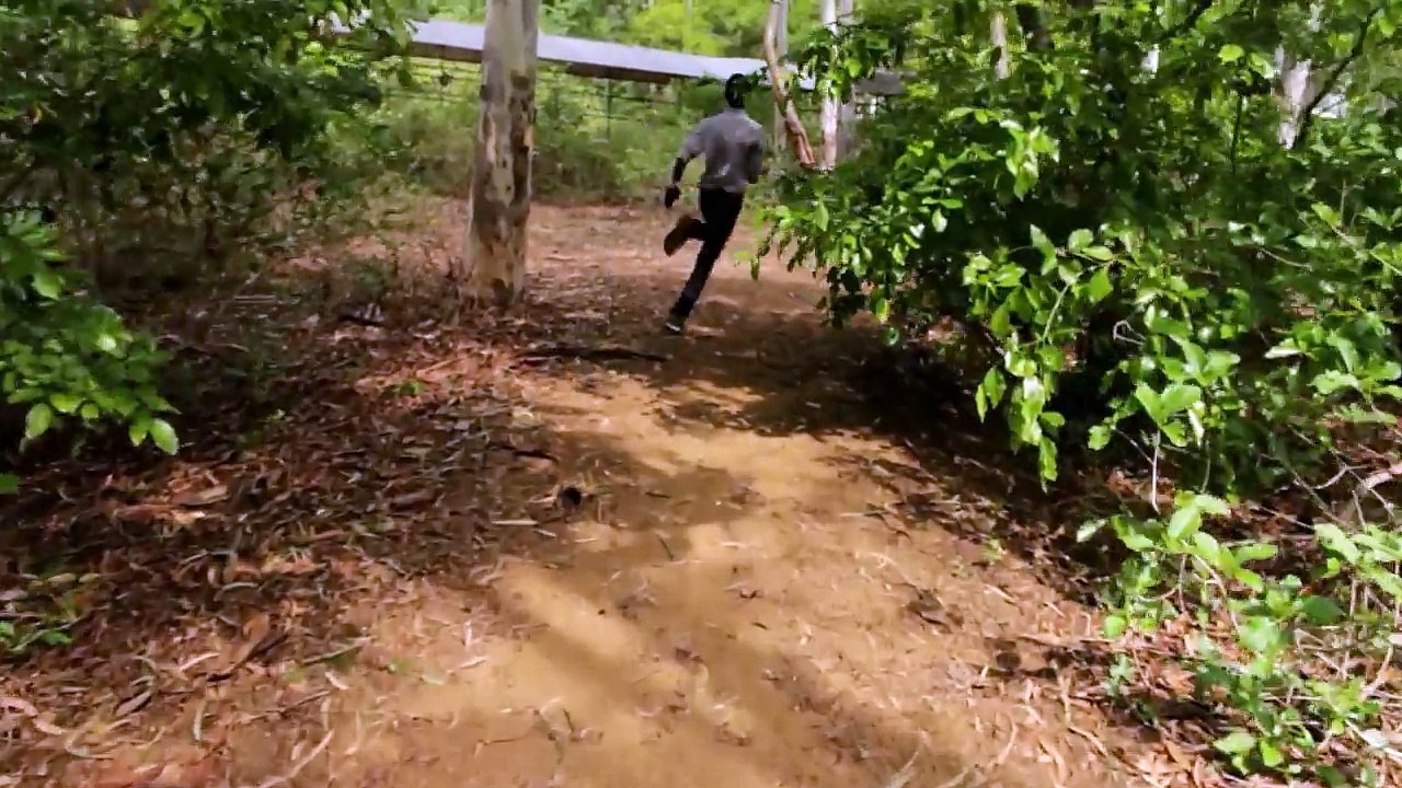 NEVER SEEN BEFORE..... VIRAL video - Temple Run Blazing Sands- In Real Life