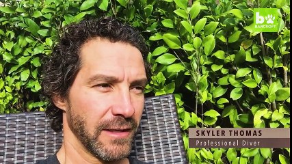 Un plongeur risque sa vie et tente de délivrer un requin gravement blessé !