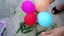 NEW Finger Family Song with Insects Wet Balloons - Learn Colors Nursery Rhymes songs for b