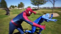 Spiderman & Blue Spiderman Vs Godzilla/ T-Rex In Real Life | Both Spidermen run for their