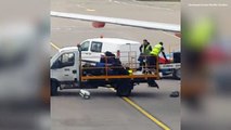 Le personnel au sol de l'aéroport de Luton maltraite les bagages...