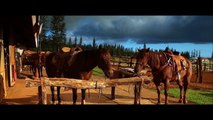 Horses for Kids - Drone Horses Video - Farm Animals Fsegbr