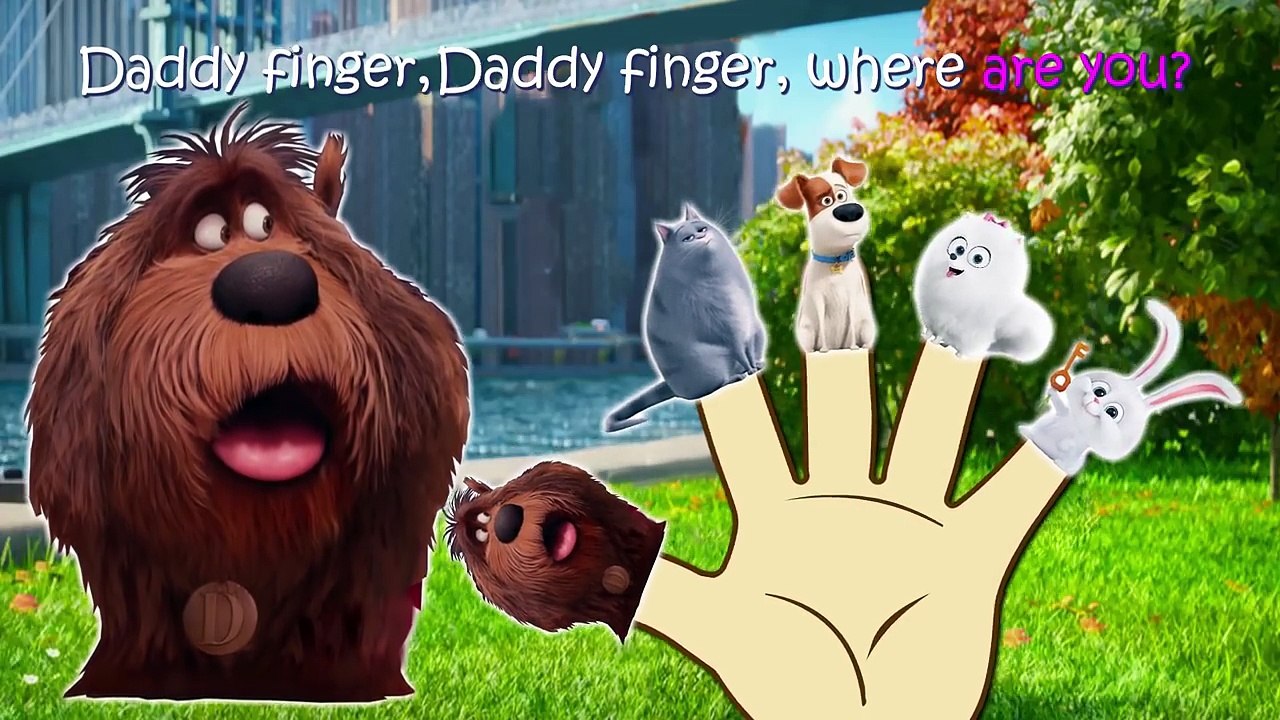 THE SECRET LIFE OF PETS FINGER FAMILY SONG COMPILATION & MORE ANIMAL NURSERY RHYME SONGS F