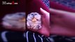 Funny Owls And Cute ation 2016