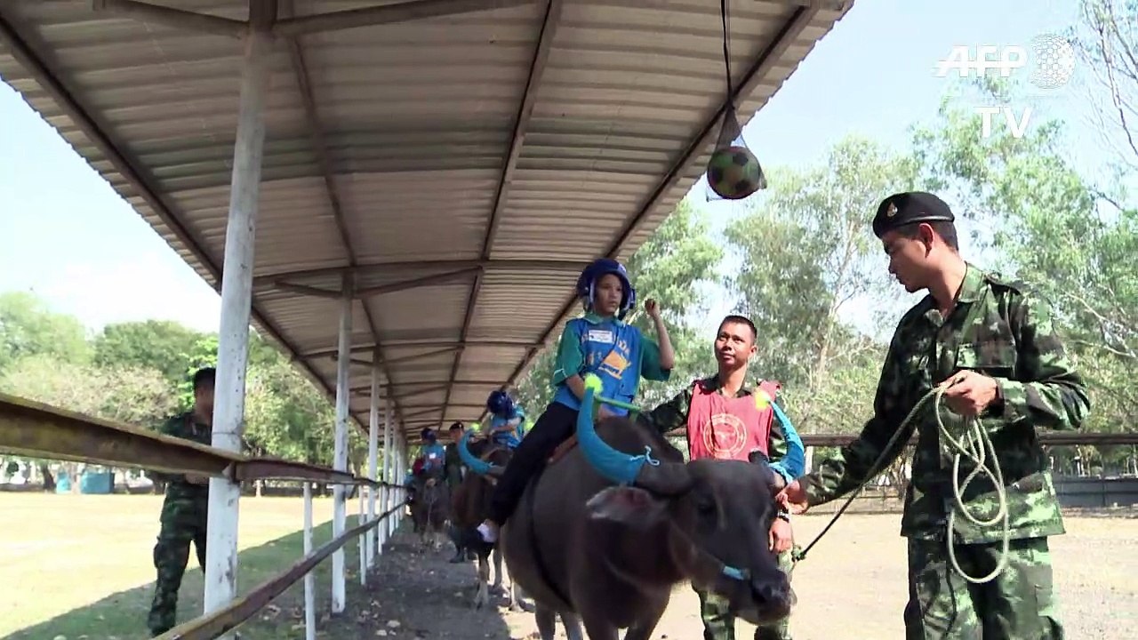 Thaïlande: des buffles comme thérapie pour des autistes