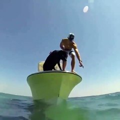 Amazing Dog - Amazing Nature of world