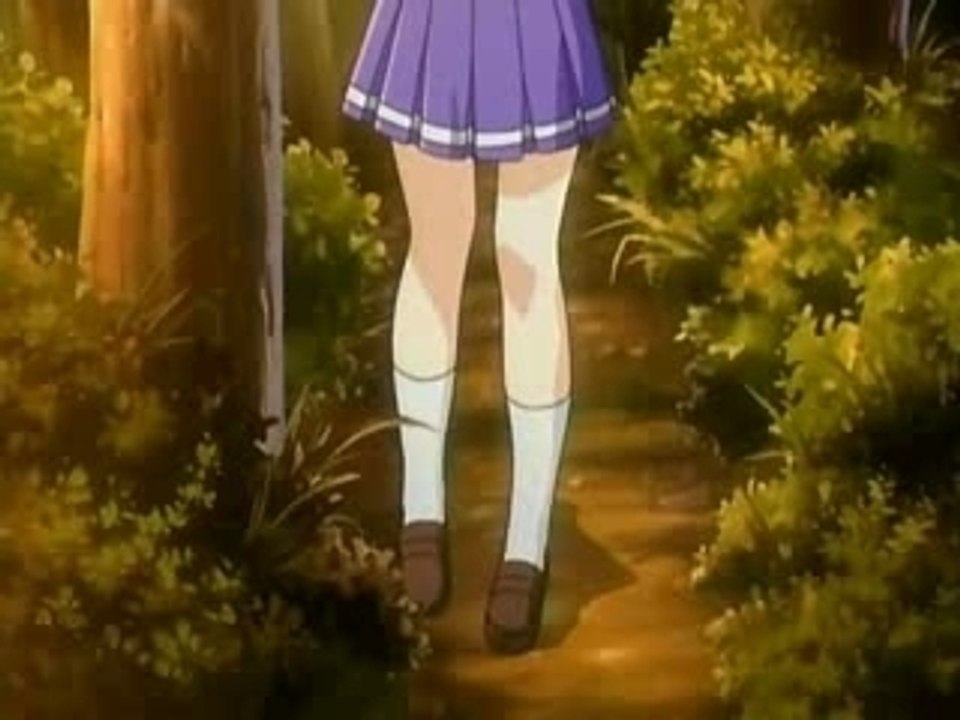 Amv kimi