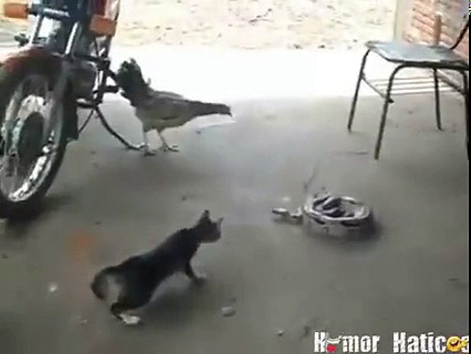 Very Funny Must watch
