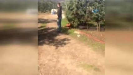 Köpeğe Ateş Edip Sosyal Medyada Paylaştı