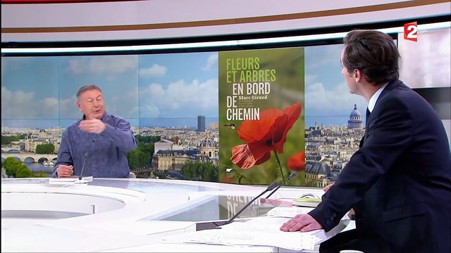 Fleurs et arbres en bord de chemin : Marc Giraud nous initie aux balades dans la nature