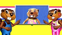 Counting 123s Learn Numbers & More | Baby Beavers 70 Min HD Animation, Preschool Teacher