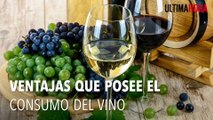 Ventajas que posee el consumo del vino