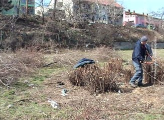 Ubrzano prolećno uređenje grada, 17. mart 2017. (RTV Bor)