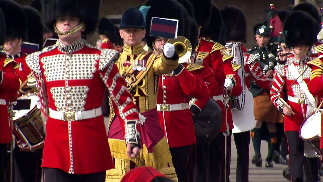 Kate pets Irish mascot dog at St Patrick's Day Parade