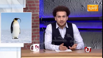 الحلقة الجديدة الحضارة أهيه -  جو شو - الحضارة أهي