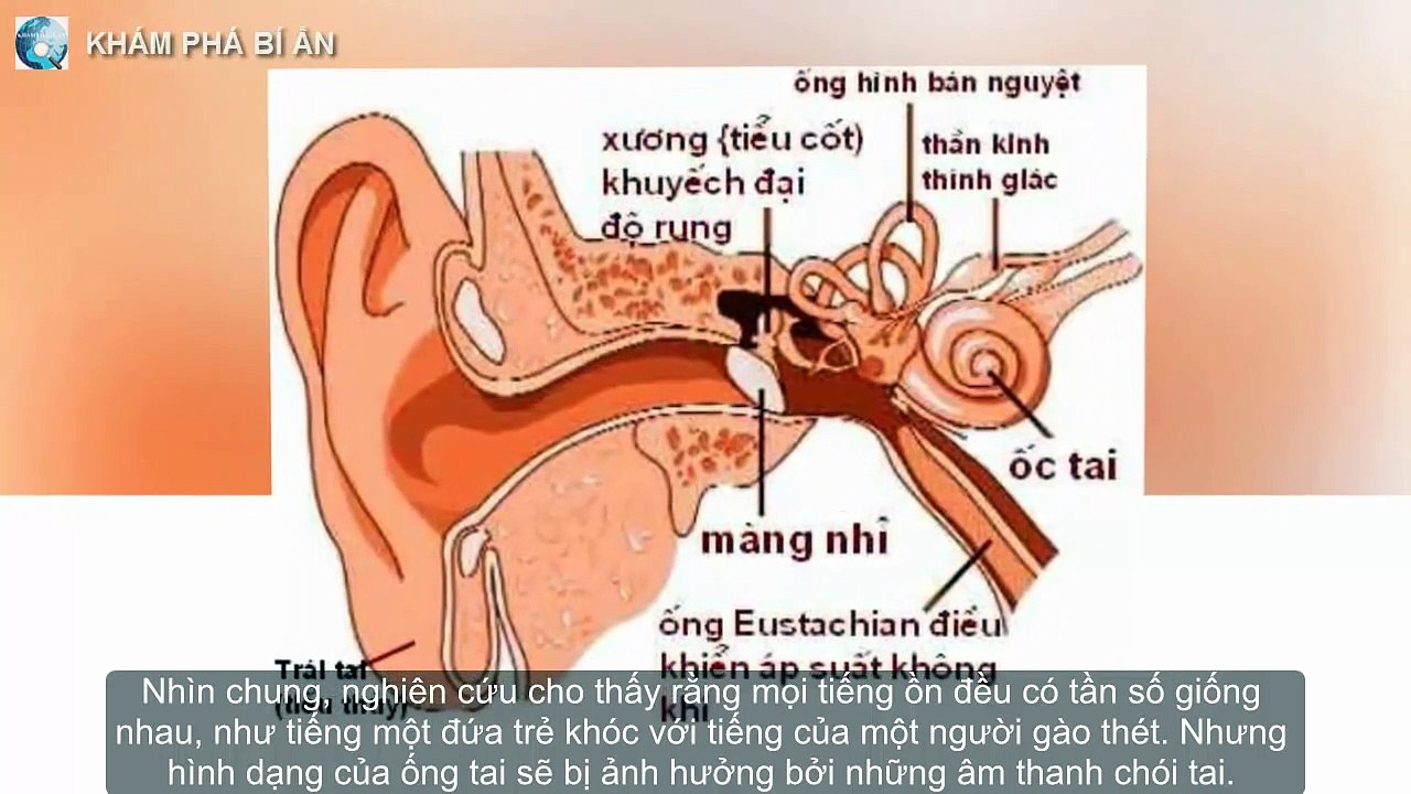 This is the sound everyone is scared but do not know why