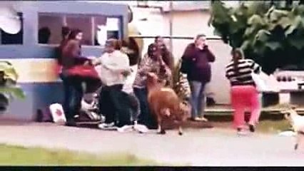 funny 2017-relax hehe _3