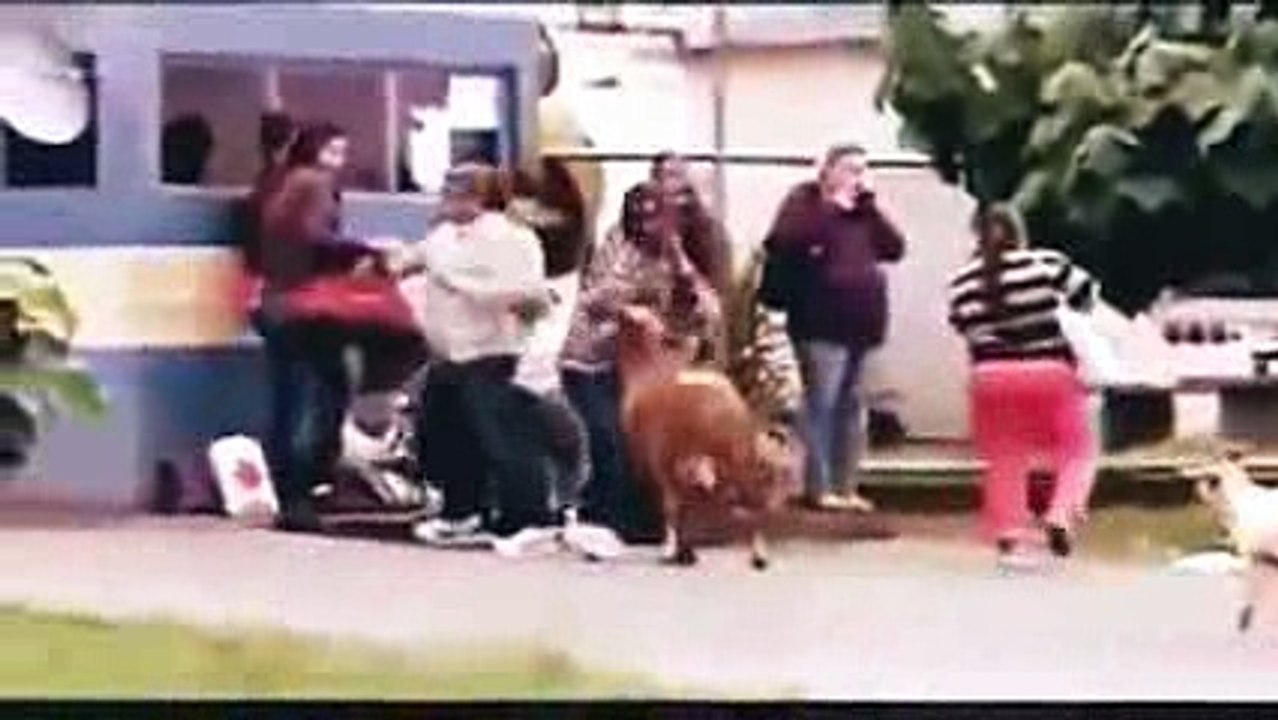funny 2017-relax hehe _3