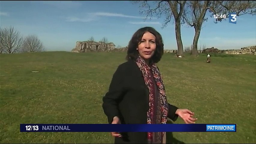 Ref:x5f2hzj Fenêtre sur le château de Coucy, dans l Aisne