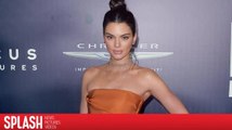Police Inspectors Believe Kendall Jenner's $200K Jewelry Heist Was an Inside Job