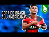 GOLS DA ZUEIRA - COPA DO BRASIL E SUL-AMERICANA #02