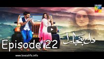 Dil Banjaara Episode 22 HUM TV Drama 17 March 2017
