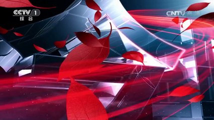 《今日说法》 20170317 列车上的嫌疑人