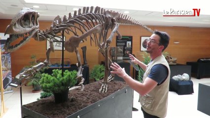 « Jurassic Deuil » : une expo pour les passionnés de dinosaures