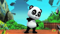 Bao Panda | ABC Song | Learn Alphabets | Baby Nursery Rhymes For Childrens | Kids Rhymes