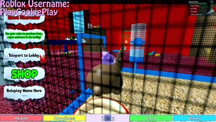 Hamsters In The House Roblox Animal House Pets Online Game