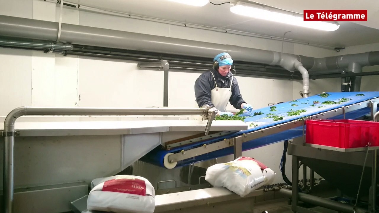 Nicolas Dupont-Aignan. Le candidat à la présidentielle visite l'entreprise roscovite "Bord à bord"