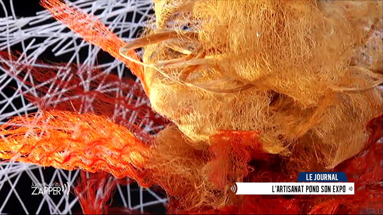 Juste Avant de Zapper - Vendredi 17 mars - FC Metz - Semaine du cerveau - Salon artisanat