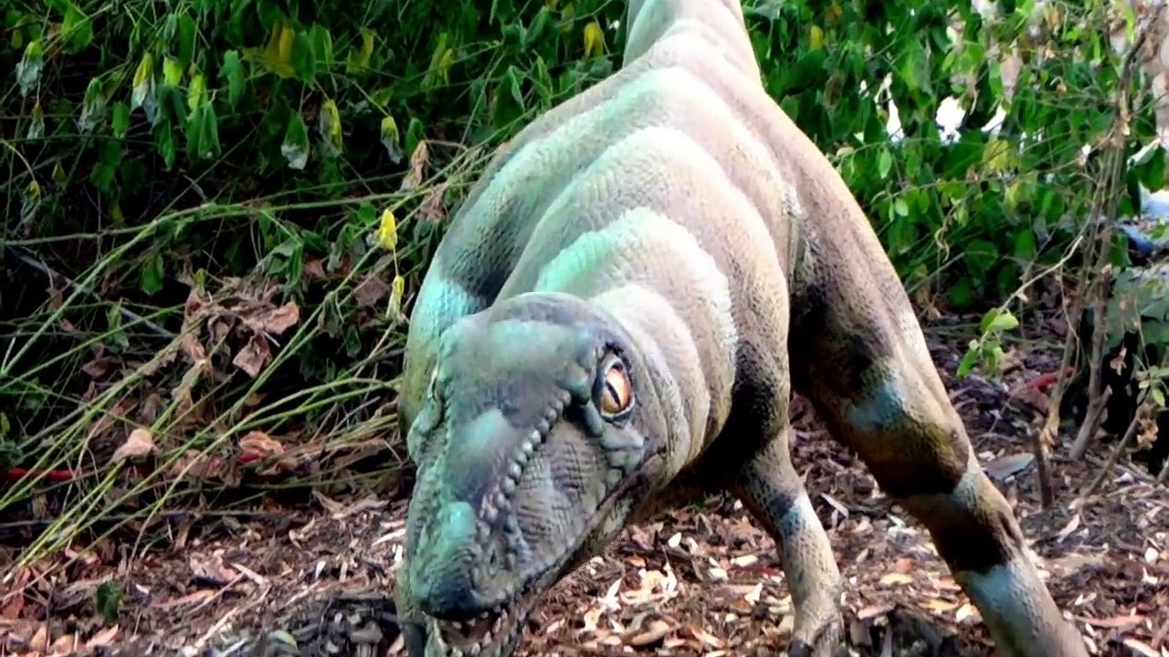 ANIMAL SOUNDS SONG Donkey Dinosaur Zebra White Tiger Geese Seal Chimpanzee